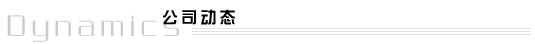公司动态